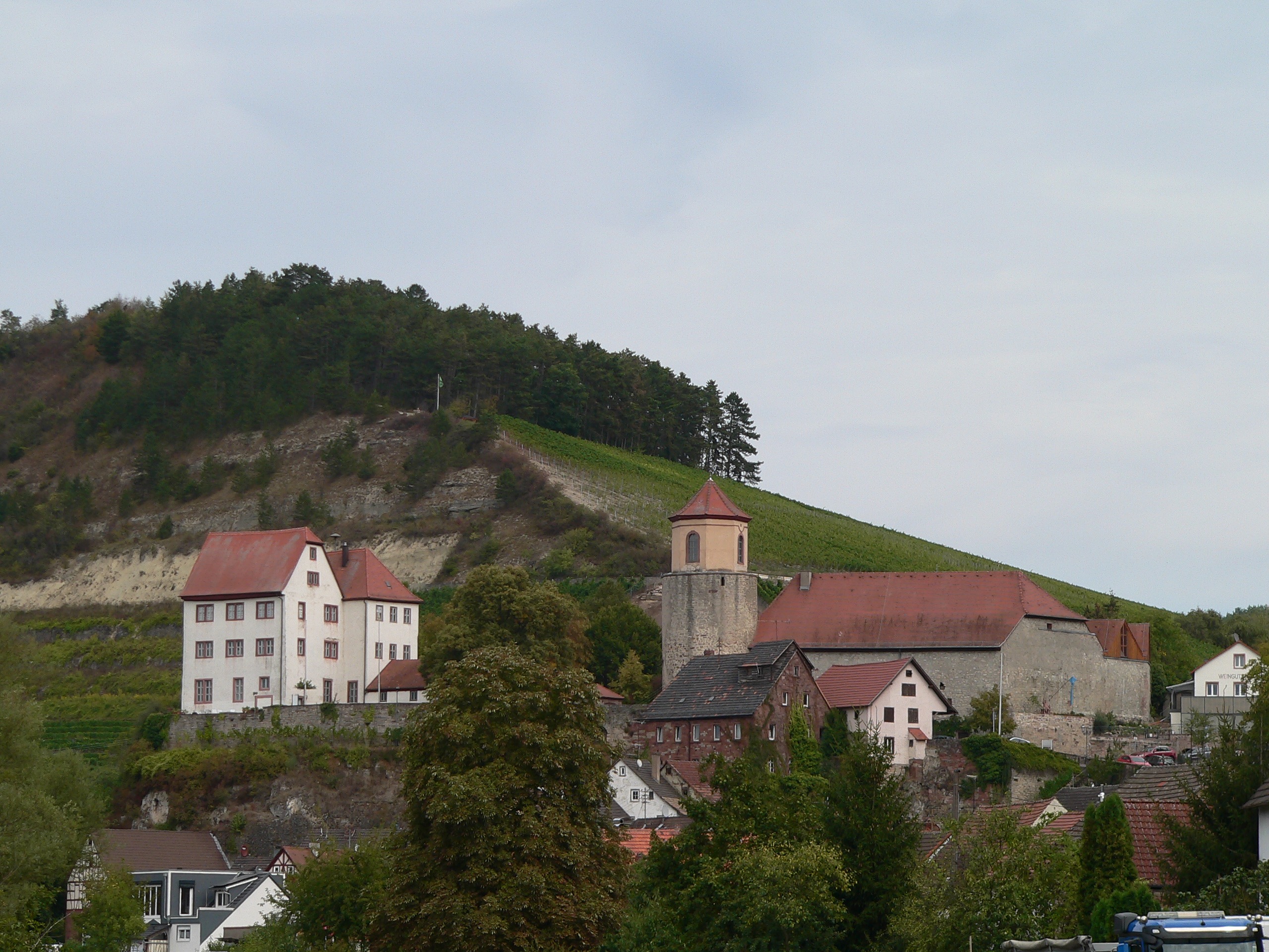 Schloss Homburg vor dem „Kallmuth, dem calvus mons (= kahler Berg). | Foto: B. Schneider