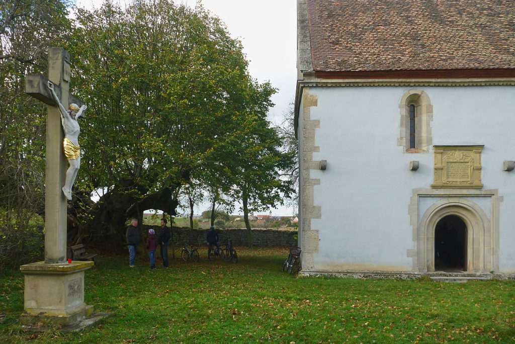 Bucher Kapelle mit 1.000-jähriger Weide, in der sich der Schleier der heiligen Kunigunde verfangen haben soll. | Foto: B. Schneider