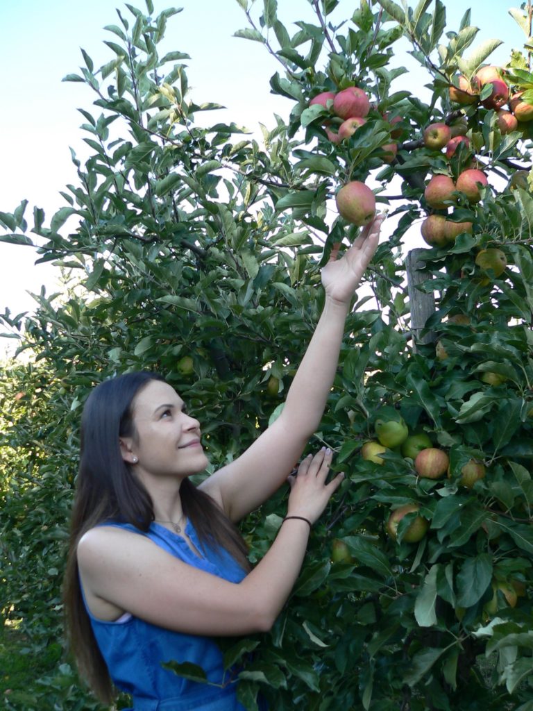 Am allerbesten schmecken die Äpfel der Apfelkönigin Marion direkt vom Baum. | Foto: B. Schneider