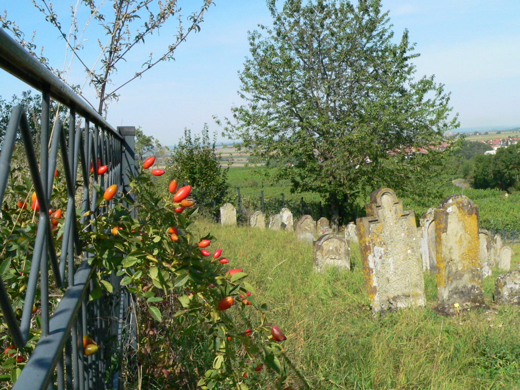 In Hüttenheim startet die „TraumRunde“ unmittelbar am jüdischen Friedhof.