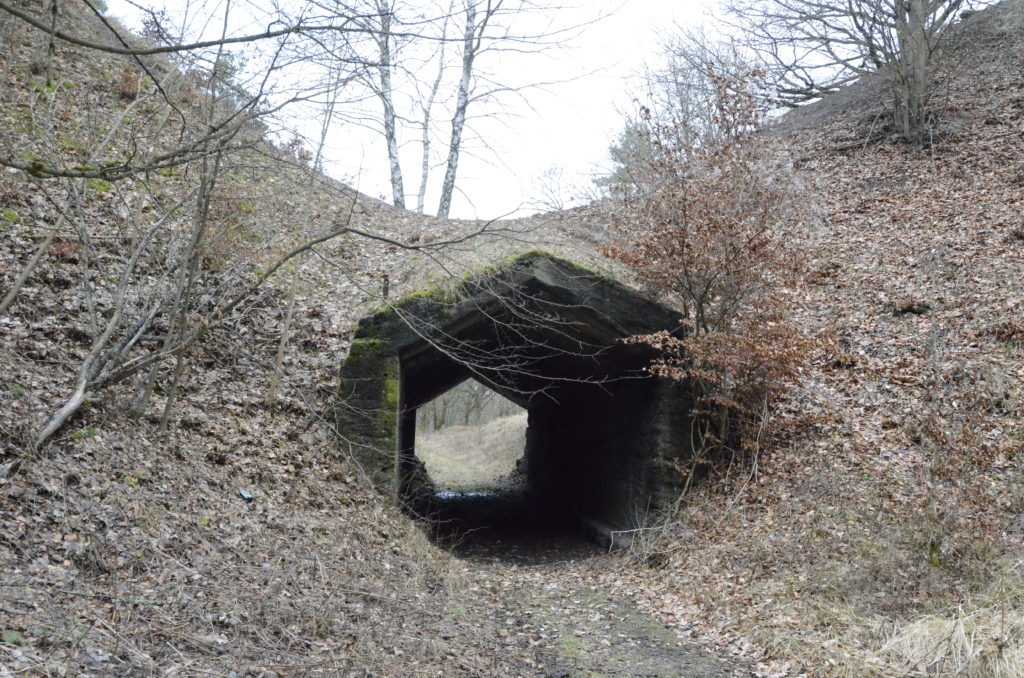 Tunnel und weitere Bauwerke stammen aus der ersten Hälfte des 20. Jahrhunderts. Sie wurden gebraucht für den Betrieb des Basaltsteinbruchs.