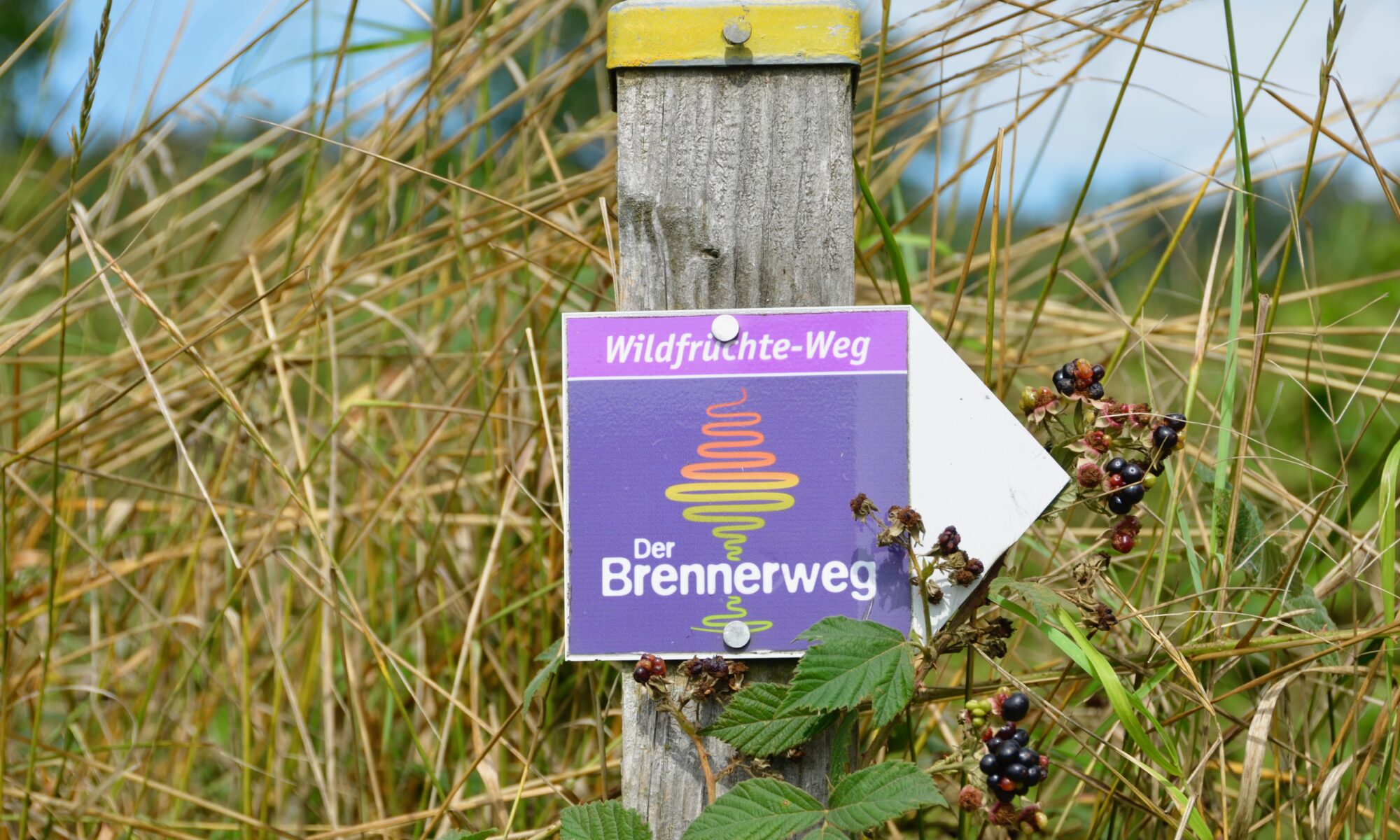 Der Wildfrüchteweg ist 6,7 Kilometer lang und ein Abschnitt des Brennerwegs. | Foto: B. Schneider