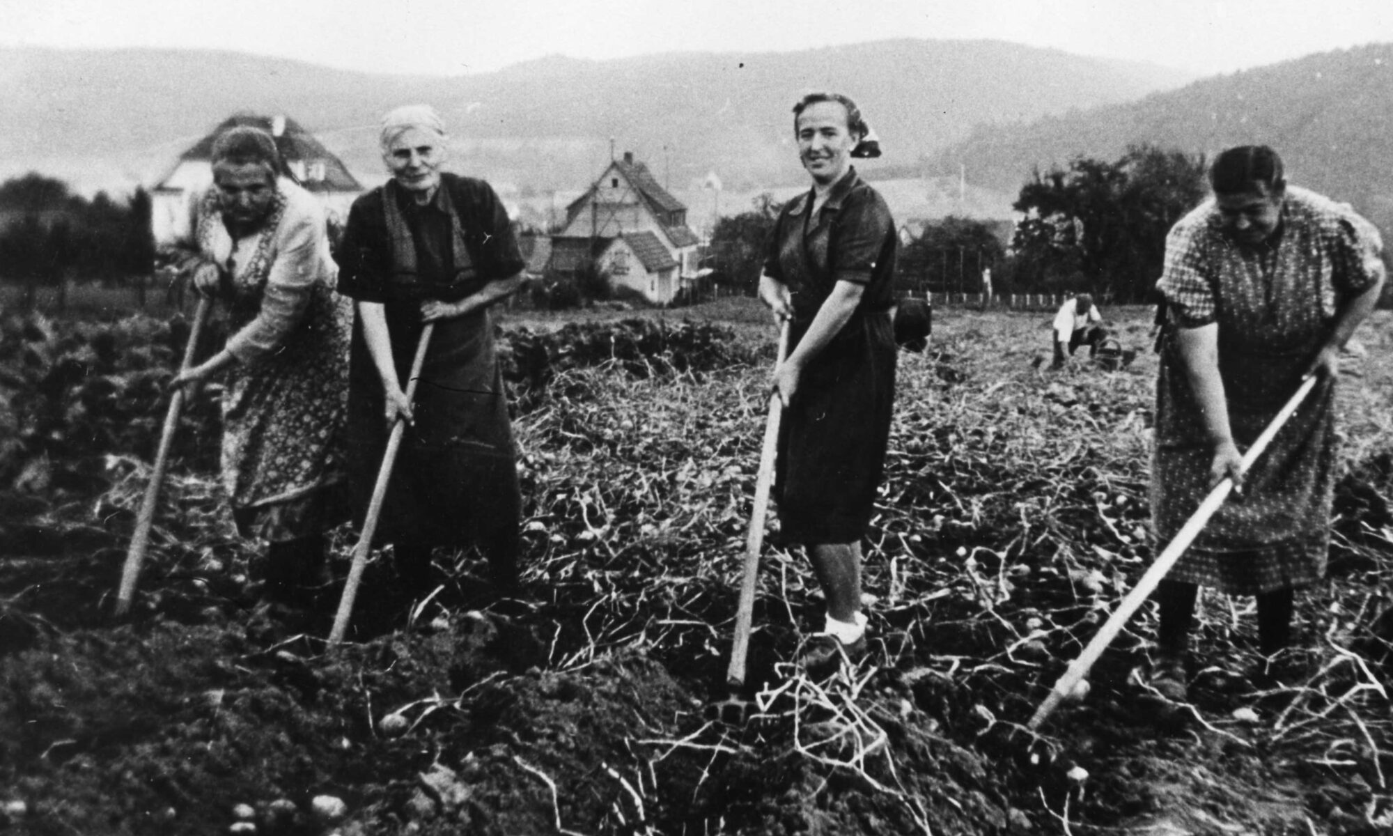 Die Kartoffel sichert die Volksernährung. | Repro: E. Stenger